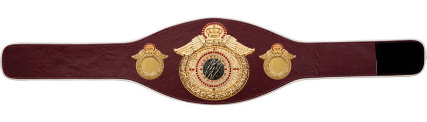 WRESTLING CHAMPIONSHIP BELT-PROWING/G/WRESTGEMG-6+ COLOURS